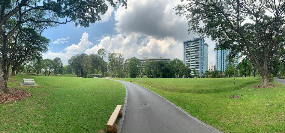 butterfly field
